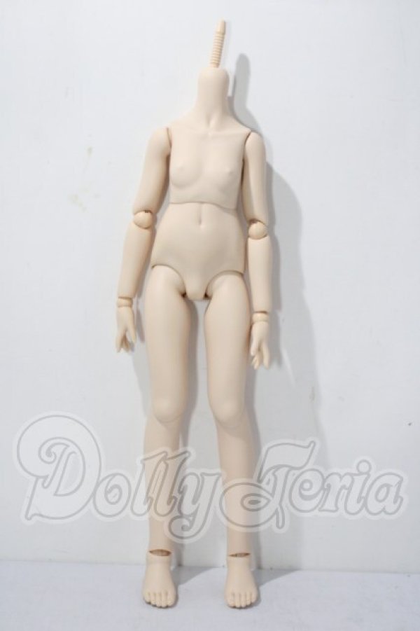 画像1: MDD/ベースボディIII A-26-06-03-1083-TN-ZU (1)