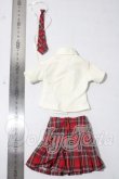 画像2: MDD/OF:衣装セット A-26-06-03-1051-TN-ZU (2)