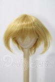 画像1: 8-9inch/ウィッグ U-26-06-10-024-TN-ZU (1)