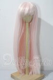 画像1: 9inch/ウィッグ：DOLLCE製 U-26-06-10-032-TN-ZU (1)