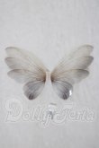 画像1: 1/6/paraiso doll/羽根 U-26-07-08-198-TN-ZU (1)