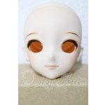 画像: DD/DDH-09 カスタムヘッド A-26-06-17-1073-TN-ZU