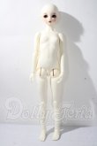 画像7: SDGIRL/リーゼロッテ Galerie de l'esprit 2021 秋冬Ver. U-26-06-24-216-TN-ZU (7)