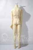 画像2: SD17BOY/ボディ U-26-06-24-213-TN-ZU (2)