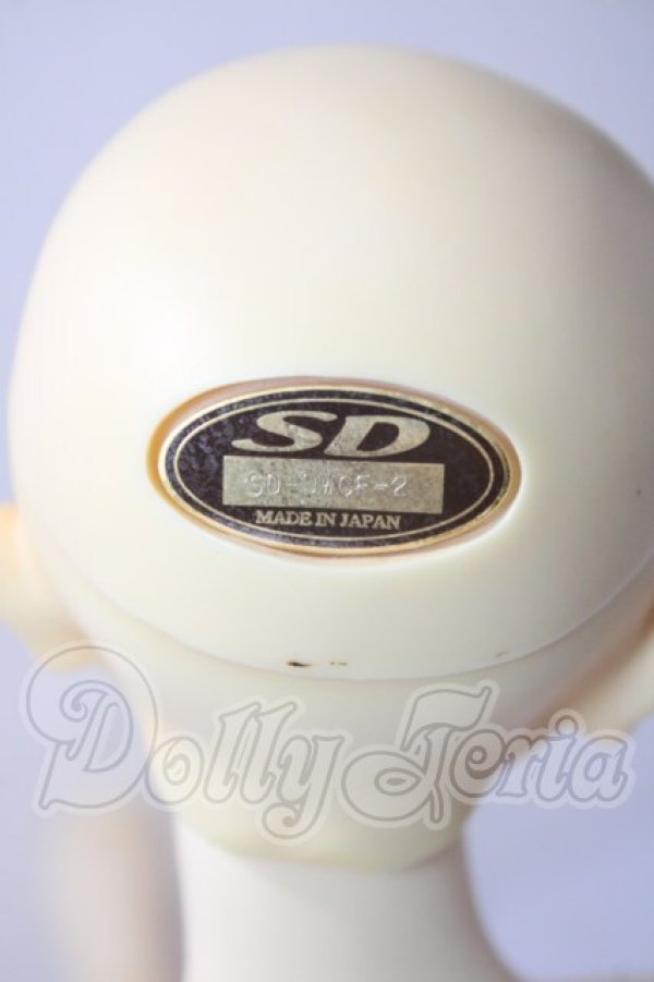 画像5: SD/DWC #02 ヘッド U-26-07-29-216-TN-ZU (5)