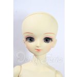 画像: MSD/マギー U-26-07-01-170-TN-ZU