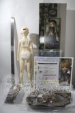 画像6: SD女の子/シャルロッテ Galerie de l'esprit 2021-22 AW Ver.  U-26-07-01-176-TN-ZU (6)