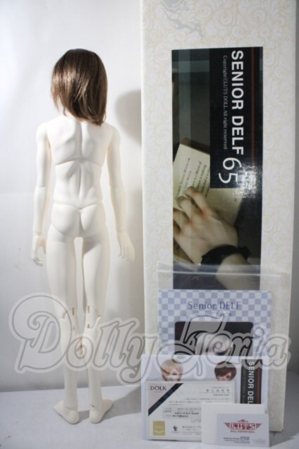 画像6: LUTS/Senior65 Delf WINE A-26-07-01-1090-TN-ZU (6)