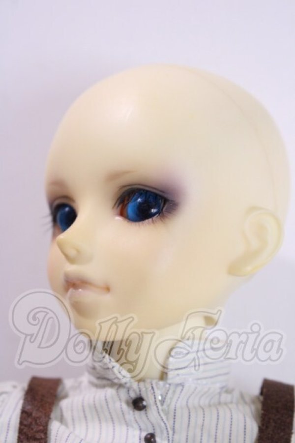 画像4: MSD/フルチョイスF-09 U-26-07-08-210-TN-ZU (4)