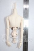 画像2: DD/DDP上半身+腕+ハンドパーツ+フレームセット A-26-07-08-1017-TN-ZU (2)