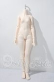 画像1: a sleep eidron/1/4 41cm Girl Body A-26-07-15-1094-TN-ZU (1)