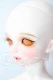 画像3: Dolly House/Rosemary A type 31cm Girl Doll A-26-07-15-1089-TN-ZU (3)