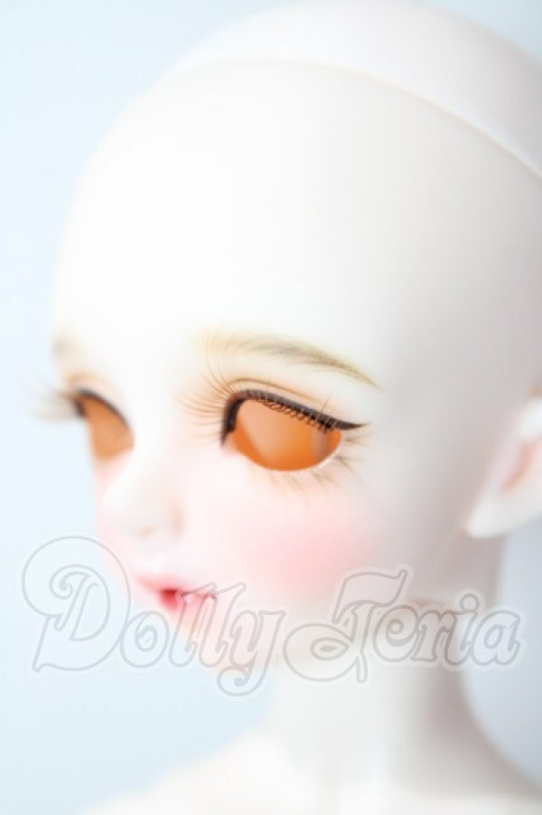 画像3: Dolly House/Rosemary A type 31cm Girl Doll A-26-07-15-1089-TN-ZU (3)