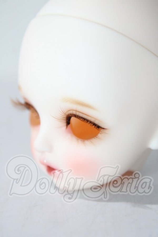 画像3: dolly house/polly A-26-07-15-1079-TN-ZU (3)
