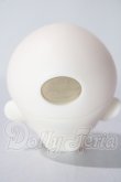 画像4: dolly house/polly A-26-07-15-1079-TN-ZU (4)
