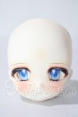 画像1: TinyFox/付き人のアザラシ ノーミ A-26-07-15-1075-TN-ZU (1)
