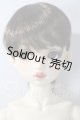 画像: SDGr/ロリーナ　中原淳一・ぱたーん版〜ブラウス集 扉絵〜 U-26-07-15-220-TN-ZU