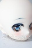 画像2: DDH-01カスタムヘッドfroral　garden製 A-26-07-15-1071-TN-ZU (2)