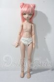 画像6: MDDf3ボディ＆カスタムヘッド A-26-07-15-1085-TN-ZU (6)