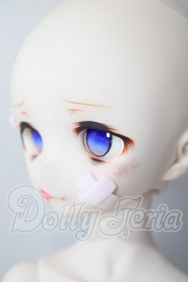 画像4: MDDf3ボディ＆カスタムヘッド A-26-07-15-1084-TN-ZU (4)
