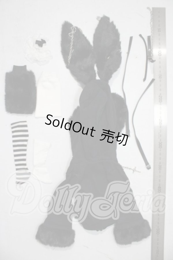 画像2: MDD/OF:衣装セット A-26-07-15-1010-TN-ZU (2)