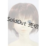 画像: SD13男の子/フルチョイス:F-22(くんヘッド) U-26-07-22-216-TN-ZU
