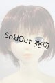 画像: SD13男の子/フルチョイス:F-22(くんヘッド) U-26-07-22-216-TN-ZU