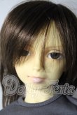画像1: SD13BOY/フルチョイスF-17 U-26-07-29-218-TN-ZU (1)