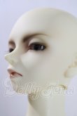 画像4: SD13BOY/荒夜　DP20限定 U-26-08-05-219-TN-ZU (4)