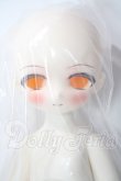画像1: TinyFox/【Ghost】　幽霊車掌 ゴースト A-26-08-05-1099-TN-ZU (1)