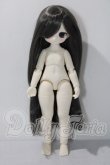 画像8: tinyfox/ルーシー A-26-08-05-1091-TN-ZU (8)