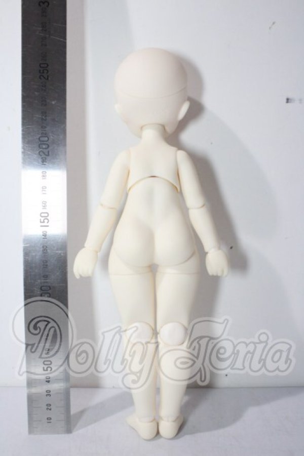 画像5: TinyFox/マーフィー A-26-08-05-1086-TN-ZU (5)