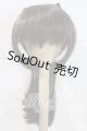 画像: 9inch/DOLLCE製 ウィッグ U-26-08-12-098-TN-ZU