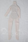 画像1: MDD/OF：ボディタイツVer.2 A-26-08-19-1007-TN-ZU (1)