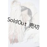 画像: SDGrG/OF:ドレス U-26-09-02-163-YB-ZU