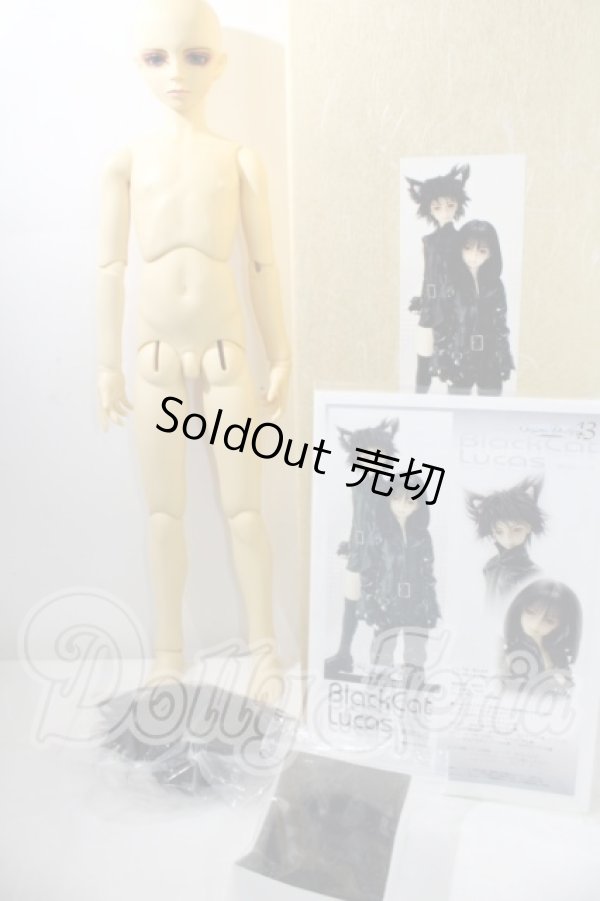 画像5: SD13男の子/黒猫ルカ U-26-09-02-220-TN-ZU (5)