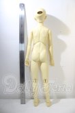 画像6: SD13男の子白猫クリス U-26-09-02-219-TN-ZU (6)