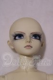 画像1: LUTS/Delf CHIWOO A-26-09-09-1098-TN-ZU (1)