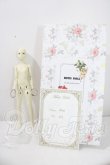 画像1: Metis Doll/1/6ドール A-26-09-02-1091-TN-ZU (1)