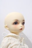 画像3: 幼SD/ダイ U-26-09-16-215-TN-ZU (3)