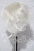 画像2: 3.5inch-4inch/ウィッグ A-26-09-16-1038-TN-ZU (2)