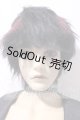 画像: IPLEHOUSE/EID EVAN A-26-09-16-1095-TN-ZU