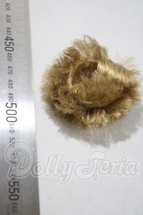 画像2: 3.5inch-4inch/ウィッグ A-26-09-24-1080-TN-ZU (2)