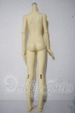 画像2: BJD CROBI/M-LINE　ボディ A-26-09-24-1089-TN-ZU (2)