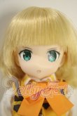 画像1: 1/6ピュアニーモキャラクターシリーズNo.135 『ご注文はうさぎですか？ BLOOM』シャロ A-26-09-30-1038-TN-ZU (1)