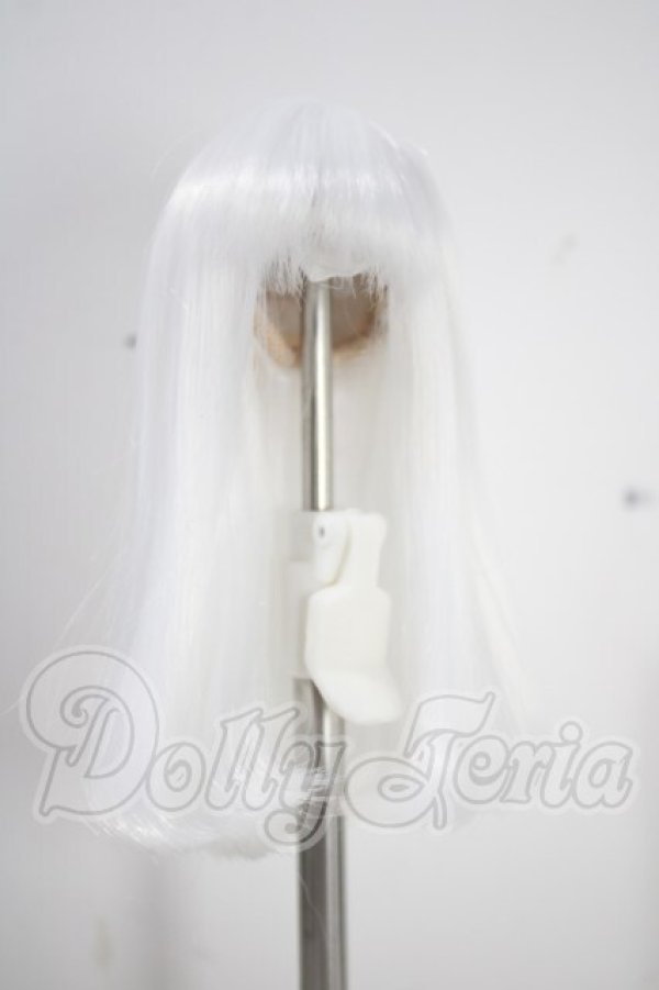 画像1: 4inch/ウィッグ A-26-09-30-1014-TN-ZU (1)