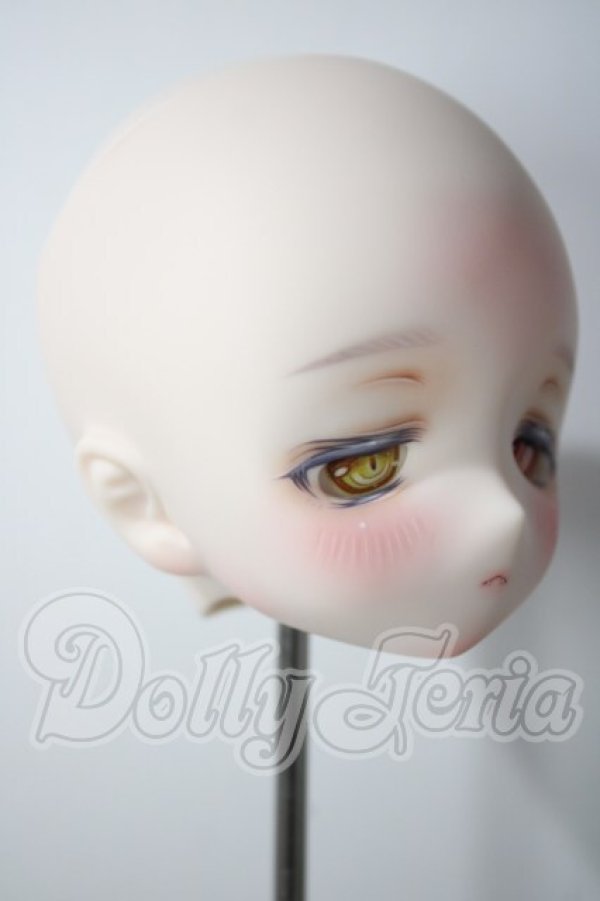 画像2: DD/DDH-01　zZz°゜　製カスタムヘッド A-26-09-30-1030-TN-ZU (2)