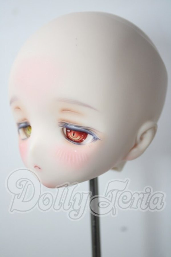 画像3: DD/DDH-01　zZz°゜　製カスタムヘッド A-26-09-30-1030-TN-ZU (3)