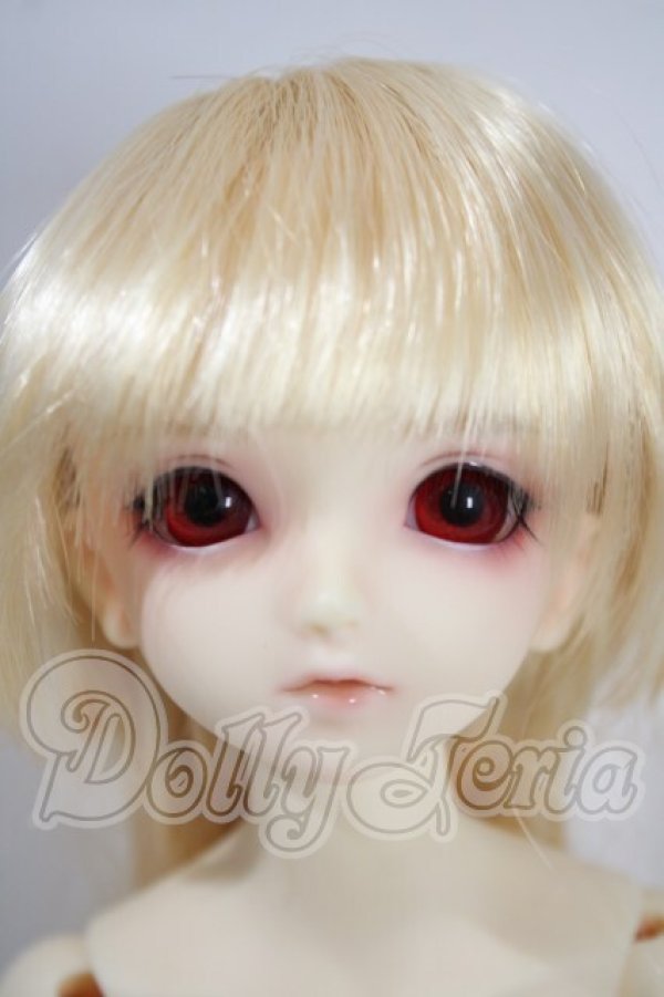 画像1: SDM/フルチョイス:F-33 U-26-10-07-216-TN-ZU (1)
