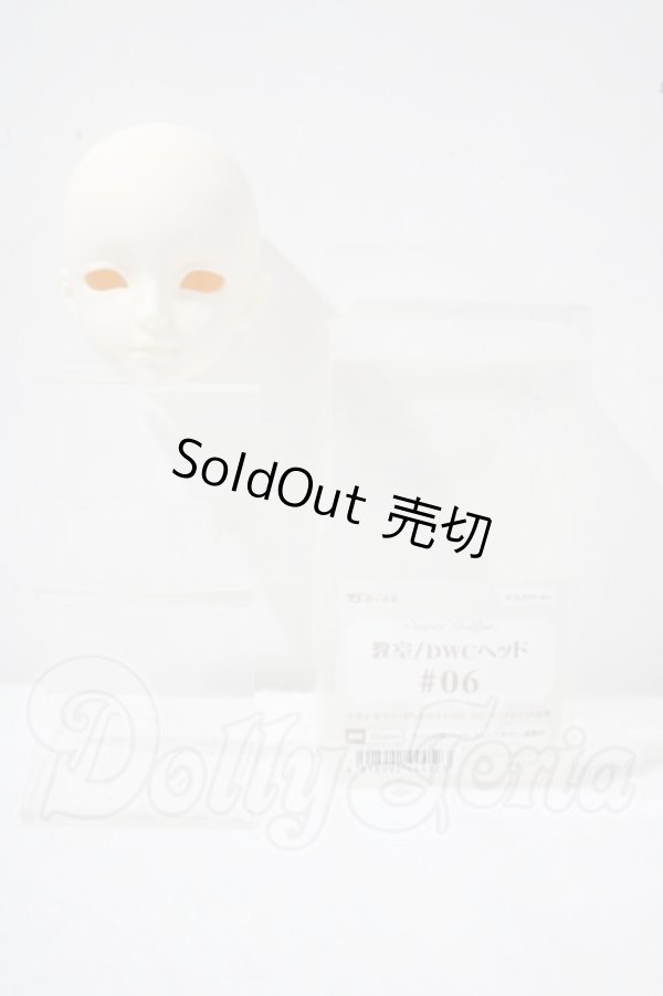 画像1: 教室/DWCヘッド＃06 U-26-10-14-210-TN-ZU (1)